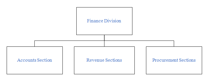 finance division